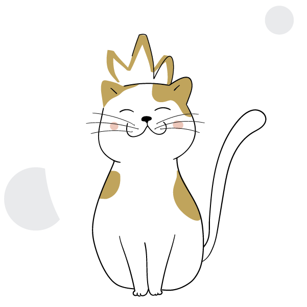 Directory brand cat